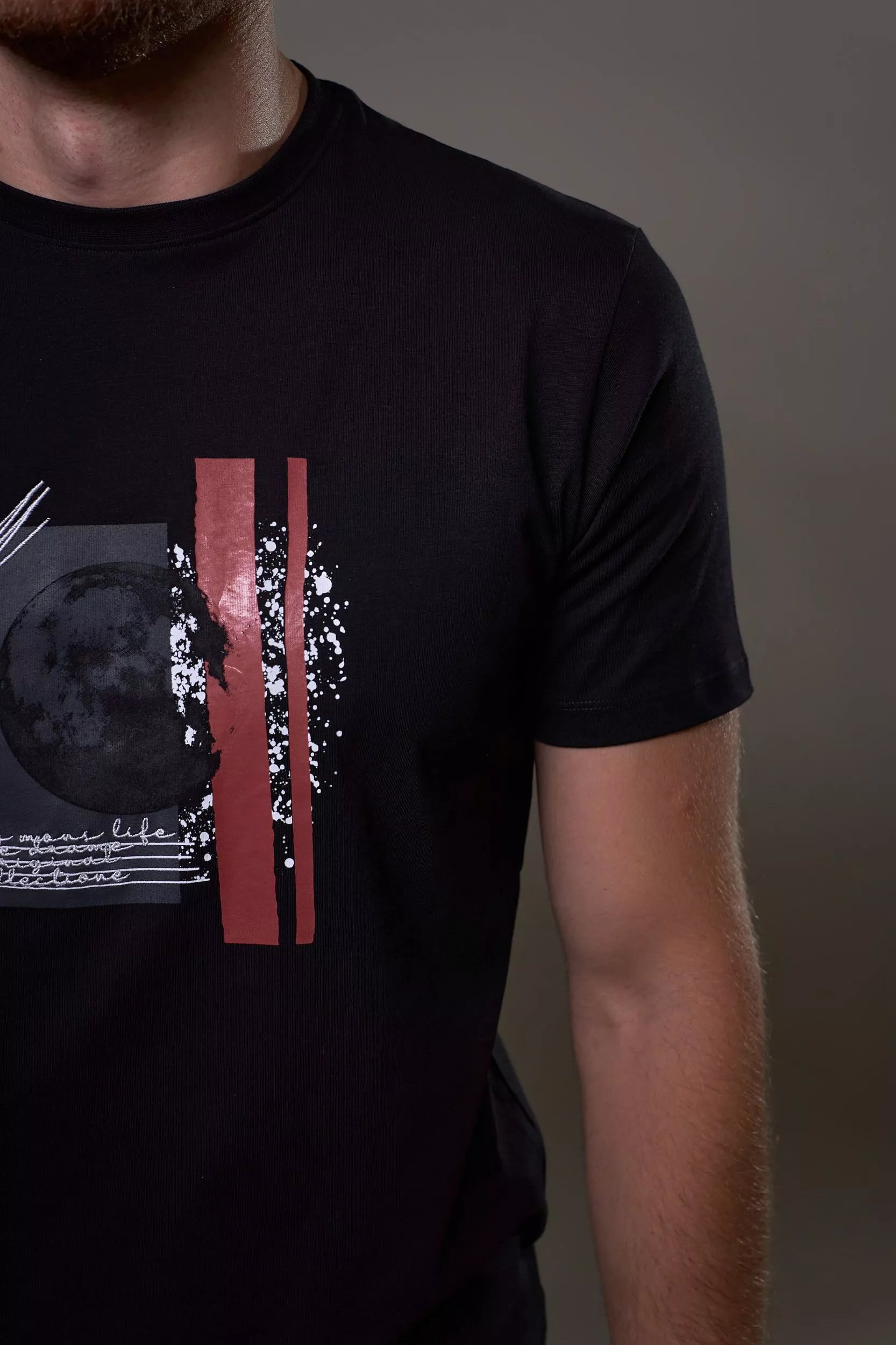 Футболка мужская RAY MONSLIFE