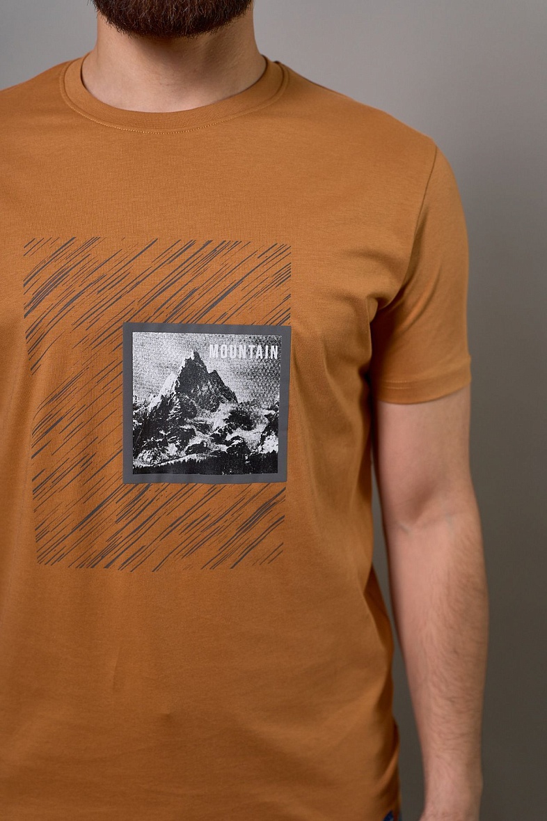 Футболка мужская цвет оранжевый RAY MONSLIFE 8320 терракот